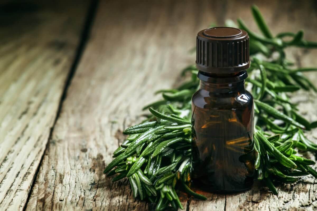 Tea-Tree-Oil-For-Acne