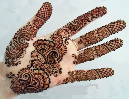 Pakistan Mehandi Design 1